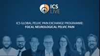Focal Neurological Pelvic Pain: ICS Global Pelvic Pain Exchange Program