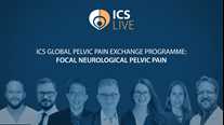 Focal Neurological Pelvic Pain: ICS Global Pelvic Pain Exchange Program