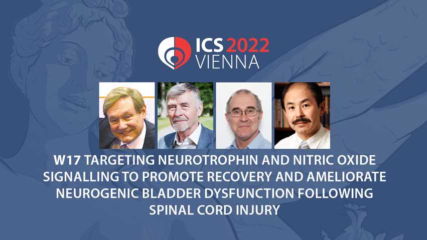 Targeting Neurotrophin and Nitric Oxide Signalling to Promote Recovery and Ameliorate Neurogenic Bladder Dysfunction following Spinal Cord Injury—Mechanistic Concepts and Clinical Implications