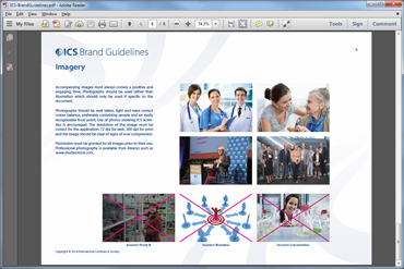 ICS Brand Guidelines