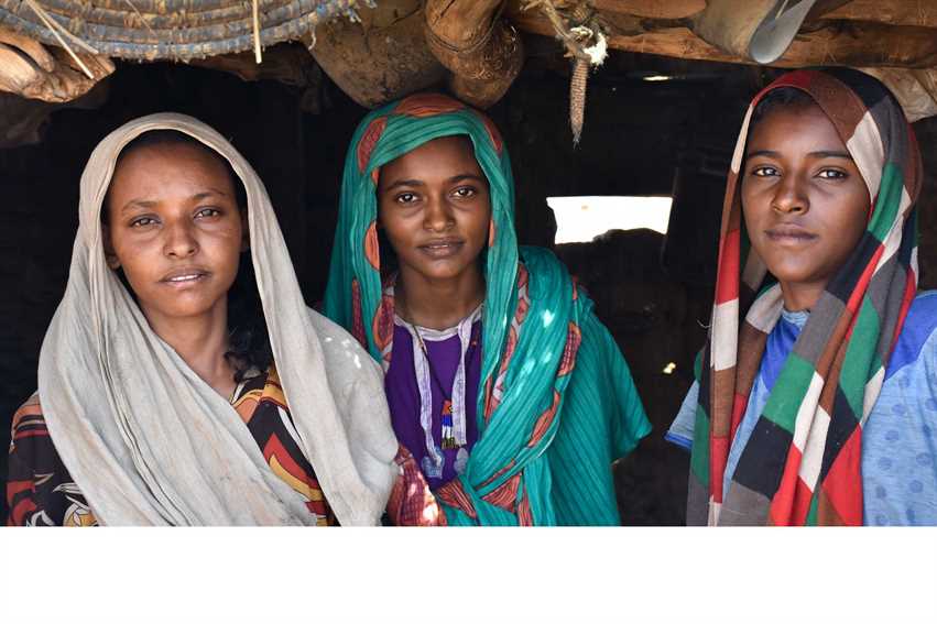 Essay on female genital mutilation